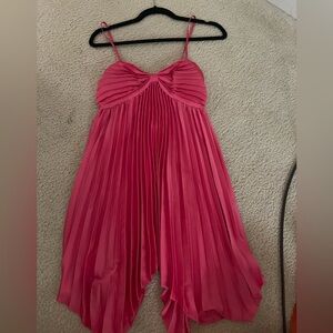 Pink Petal and Pup Pleated Dress